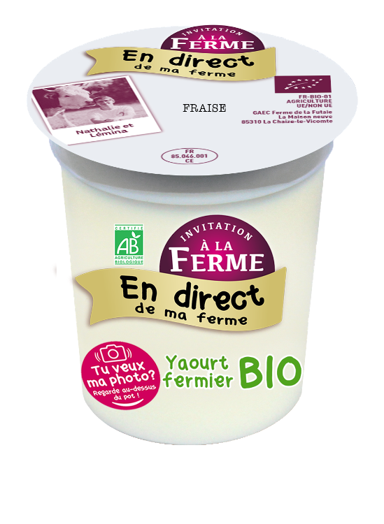 Yaourt étuvé aromatisé fraise bio - 100g