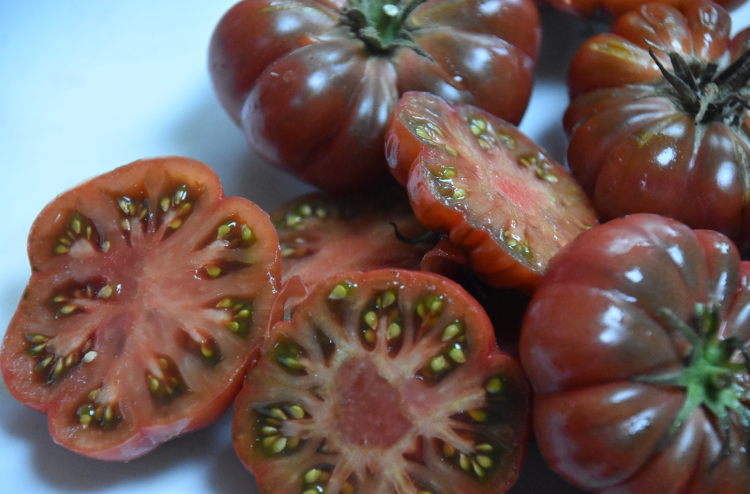 Plant Tomate Purple Calabash