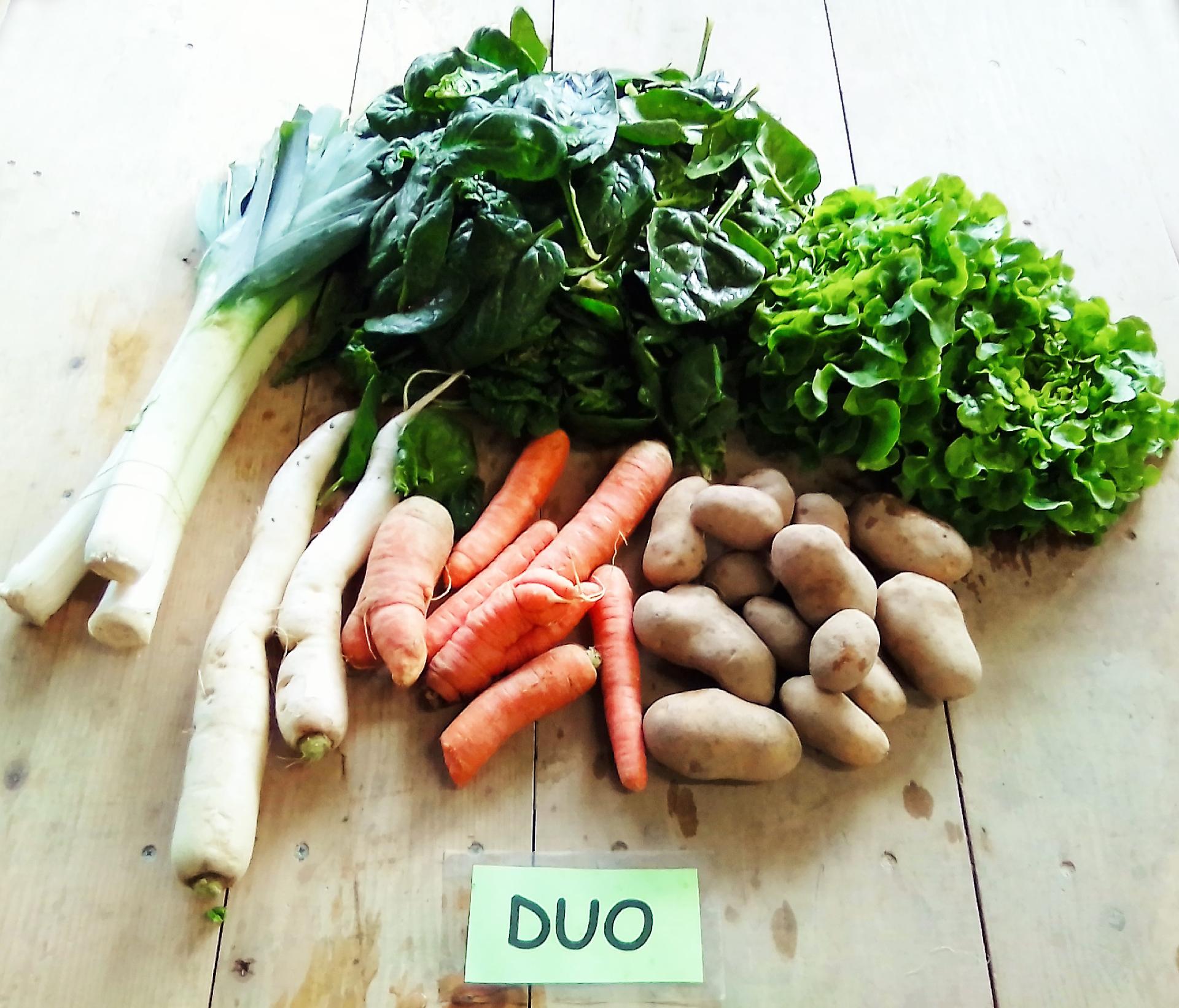 Panier de légumes duo
