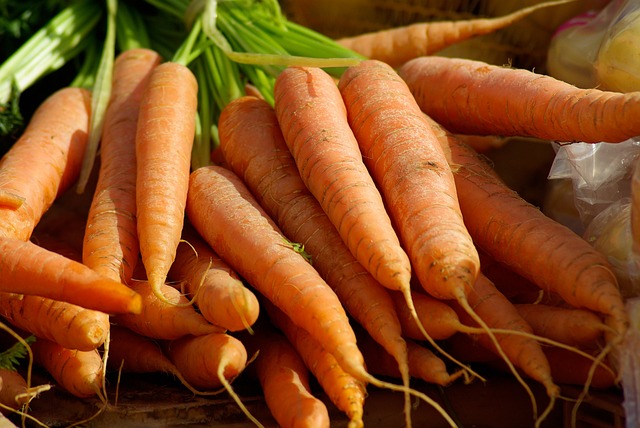 1 ingrédient - 5 recettes autour de la carotte 