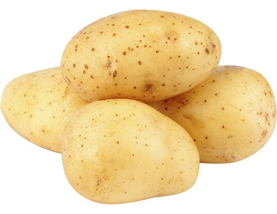 Pommes de terre « Blanche »
