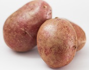 Pommes de terre « Dalida »