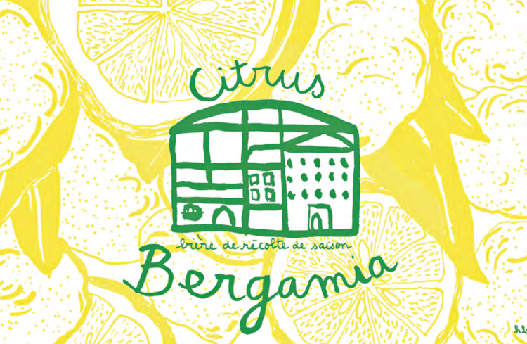 Citrus Bergamia 33cl