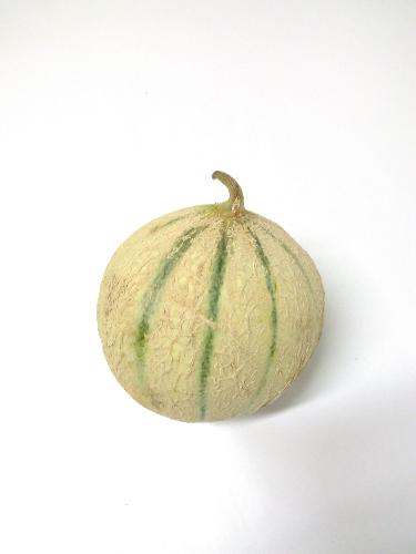 Melon FRANCE