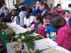 Repas Bio et/ou local dans les écoles de Couëron