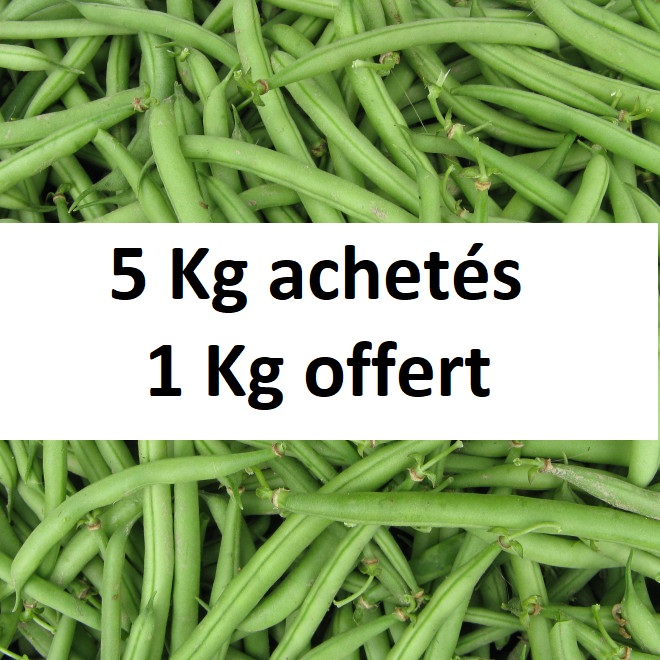 Haricot vert ultra frais 5kg (+1 kg offert)