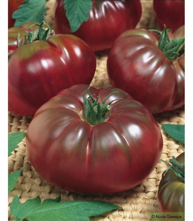 Tomate ancienne noir de crimée