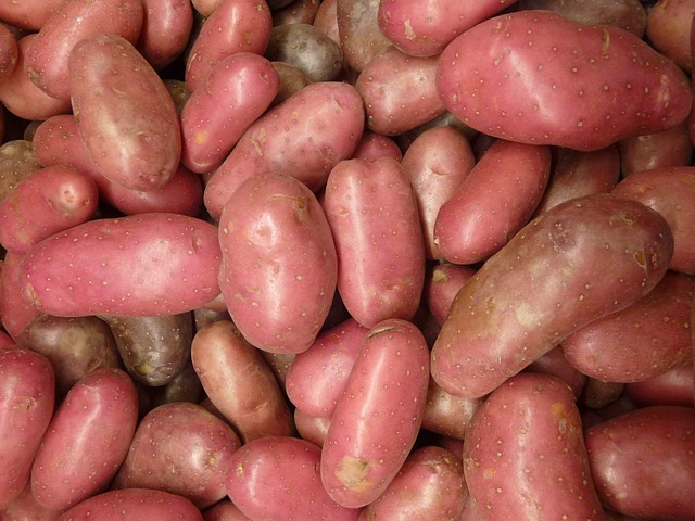 Pommes de terre Franceline - Chair ferme (rouge) - en filet 10kg
