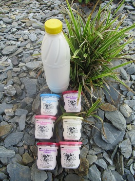 1 litre de lait et 6 yaourts aromatisés (LYCEE AGRICOLE)