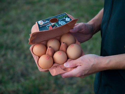 24 oeufs fermiers extras-frais poules plein-air Gaec de la Vallée Blanche