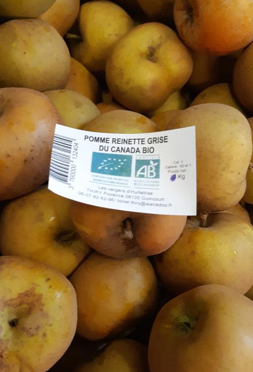 Pommes REINETTE GRISE du CANADA certifiée BIO sac 3 kg, Florence et Lionel THIRY