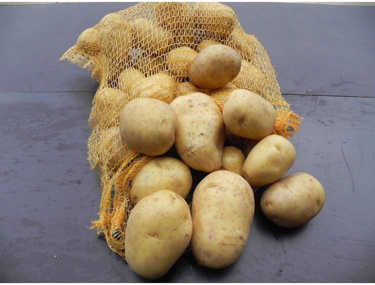 Pommes de terre MELODY (5kg)