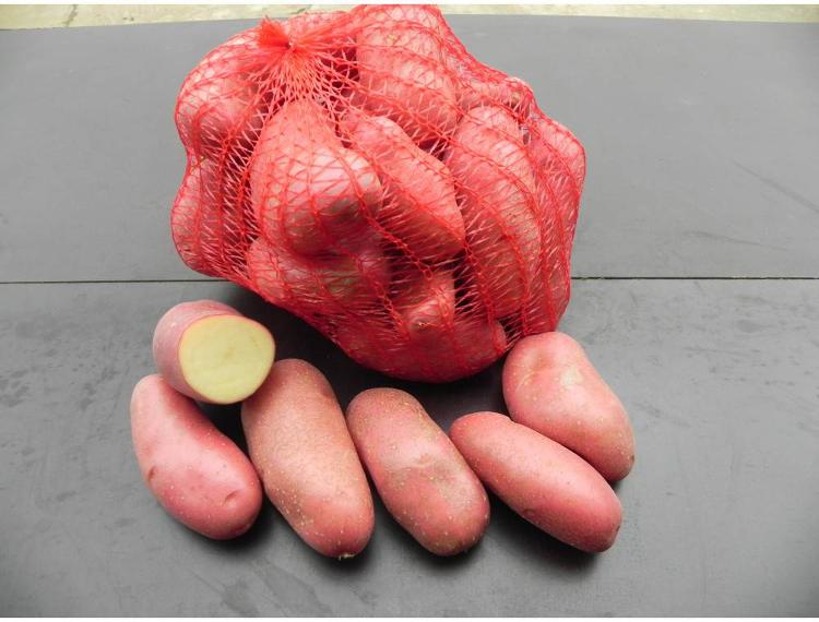 Pommes de terre rose (HALE)