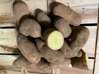 Pommes de terre POMPADOUR (1kg) (HALE)