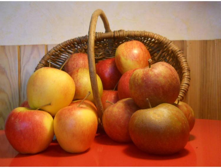 Pomme "Multivariété" : Jonagored + à cuire + à croquer - 5 kg