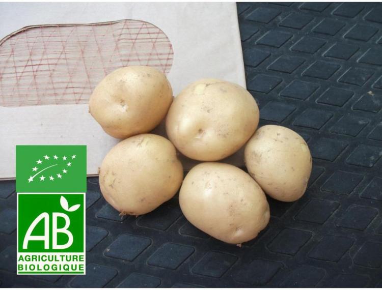 pommes de terre Kerpondy grenailles 2,5 Kg