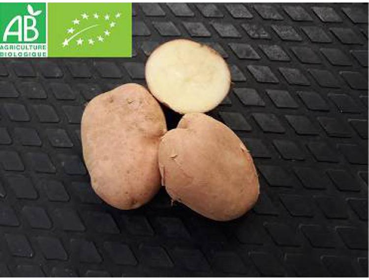 pommes de terre Désirée grenailles 2,5 Kg