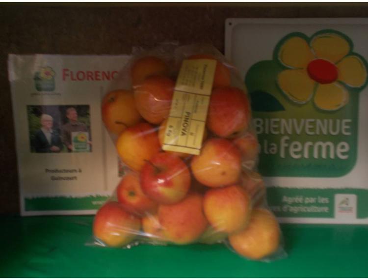 Pomme PINOVA BIO en 5 kg, certifiée par Ecocert Florence et Lionel Thiry
