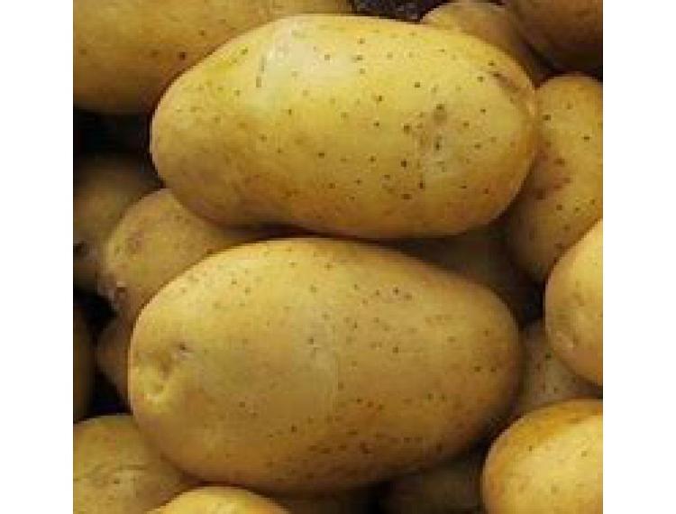 Pommes de terre MARABEL filet 2.5 kg (HALE)