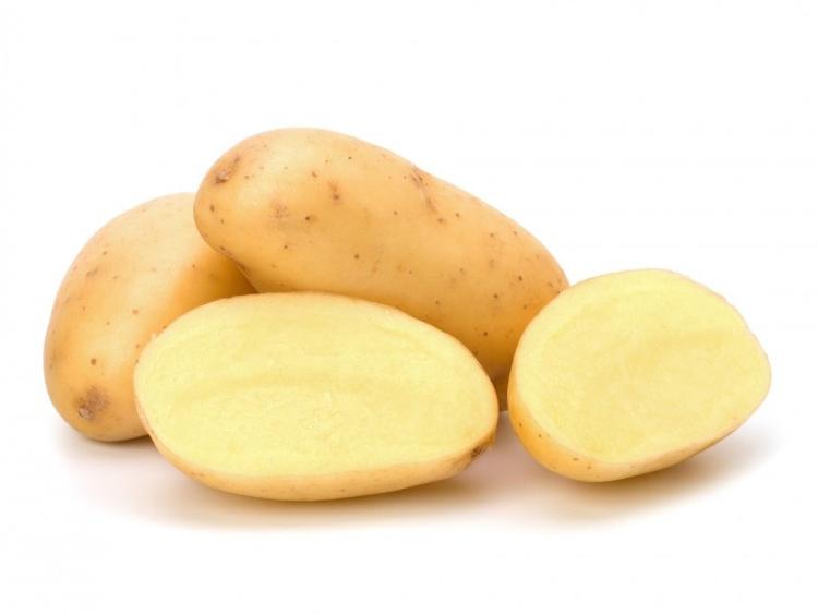 Pommes de terre Agria