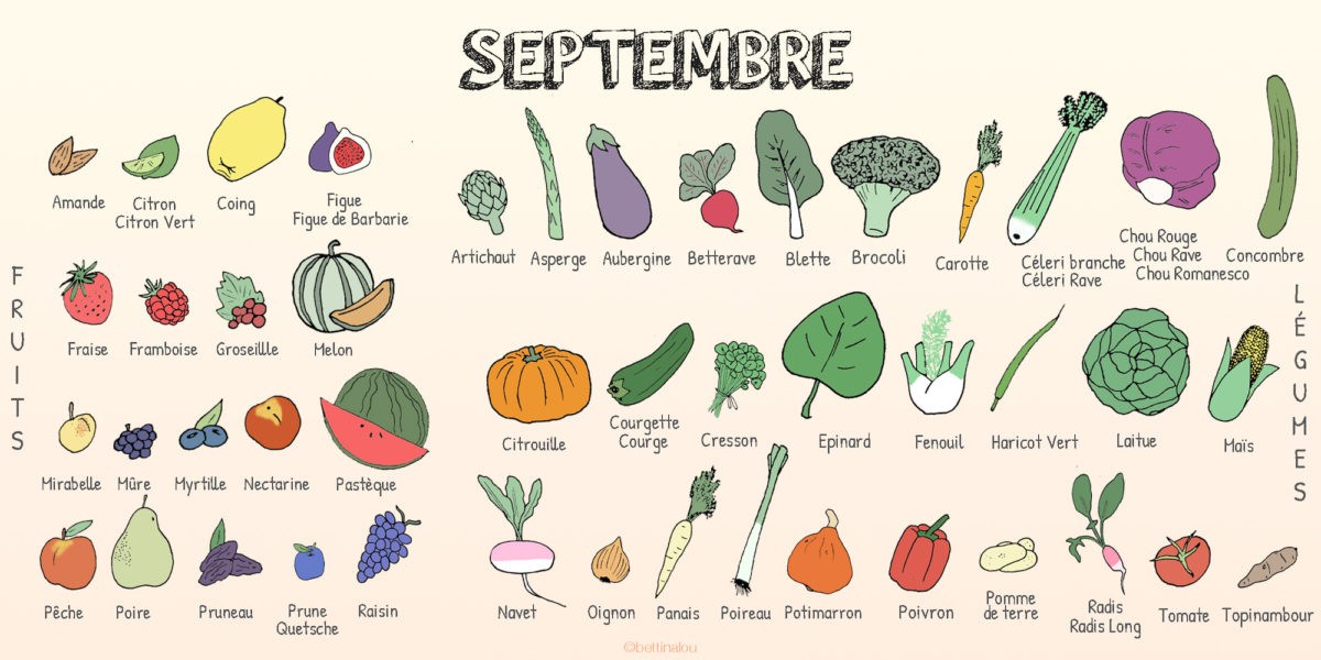 Les fruits et légumes de Septembre 
