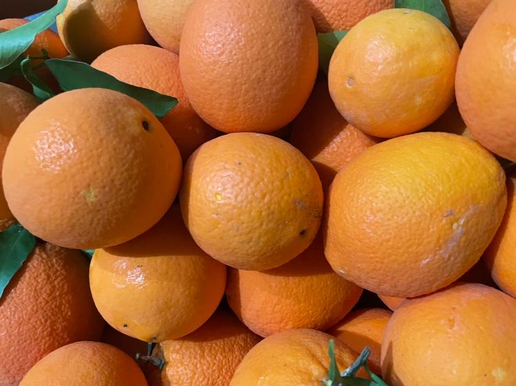 Oranges Douces par 4