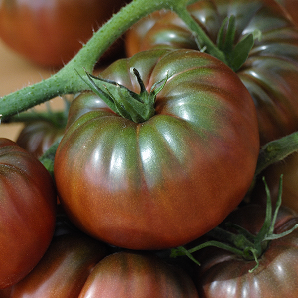 Tomates Noires de Crimée