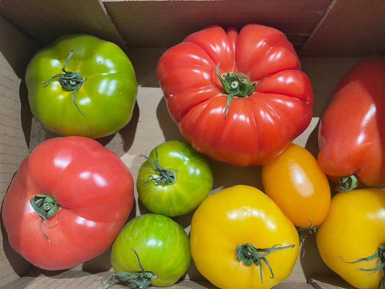 Tomates Anciennes 2kg BARQUETTE