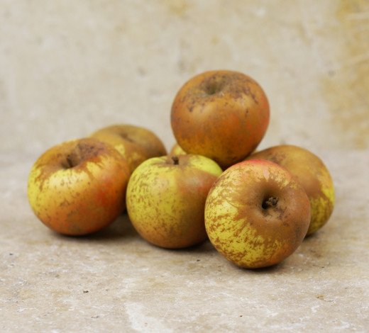 Pommes Reinette d'Armorique