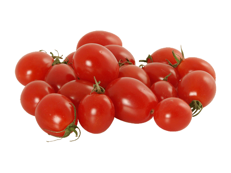 Tomates Torino allongée