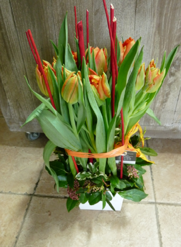 Composition De Tulipes