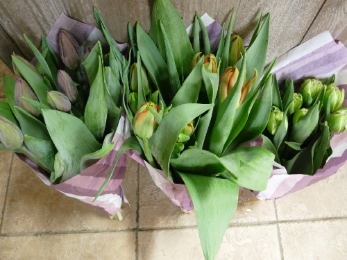 Bouquet De Tulipes