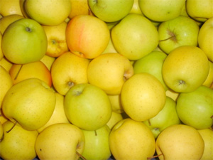 Pommes Golden 2 kg