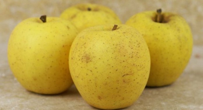 Pommes Goldrush 5 kg