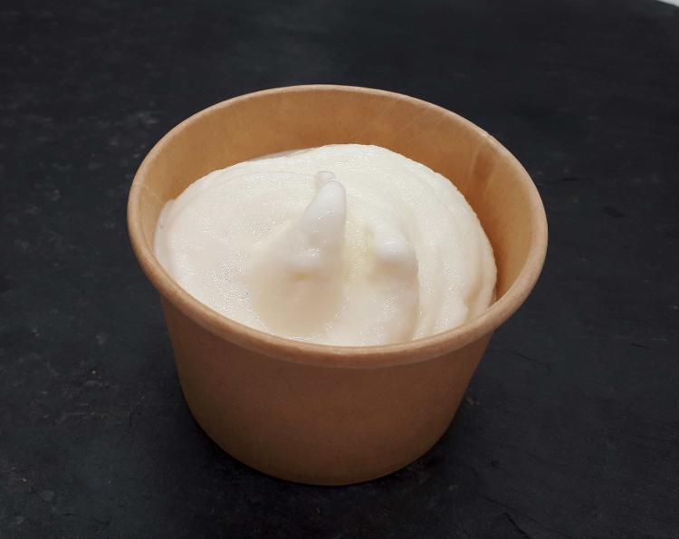 Sorbet yaourt fermier - pot 80g BRION UNIQUEMENT