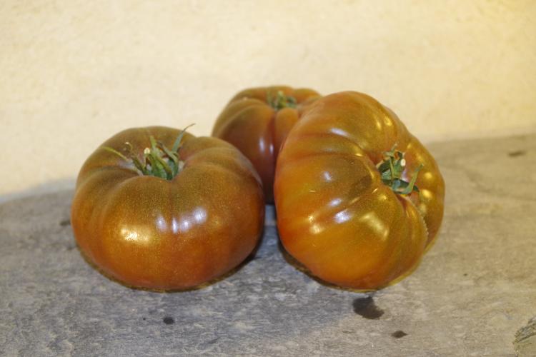 Tomates anciennes Noire de Crimée
