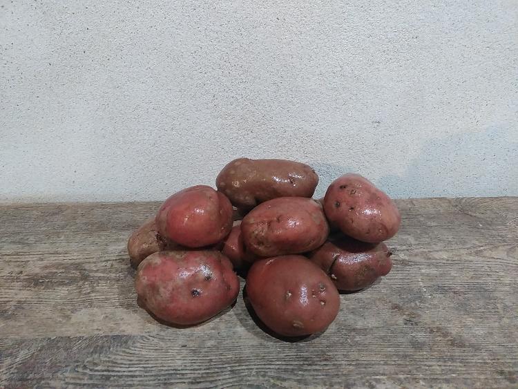 sac 5 kg Pommes de terre DESIREE