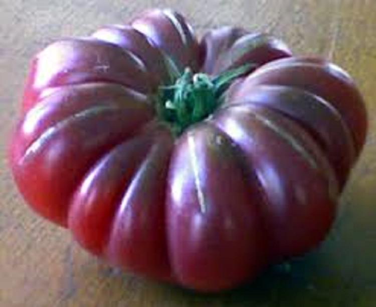 Plant de Tomate 'Purple Calabash'