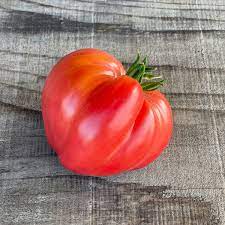 Plant de Tomate 'Cuor di Bue'