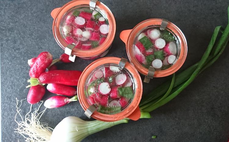 Pickles radis roses et oignons nouveaux (lactofermentés)