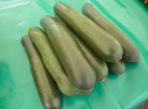 Courgettes Grosses