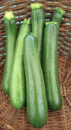 Courgettes moyennes