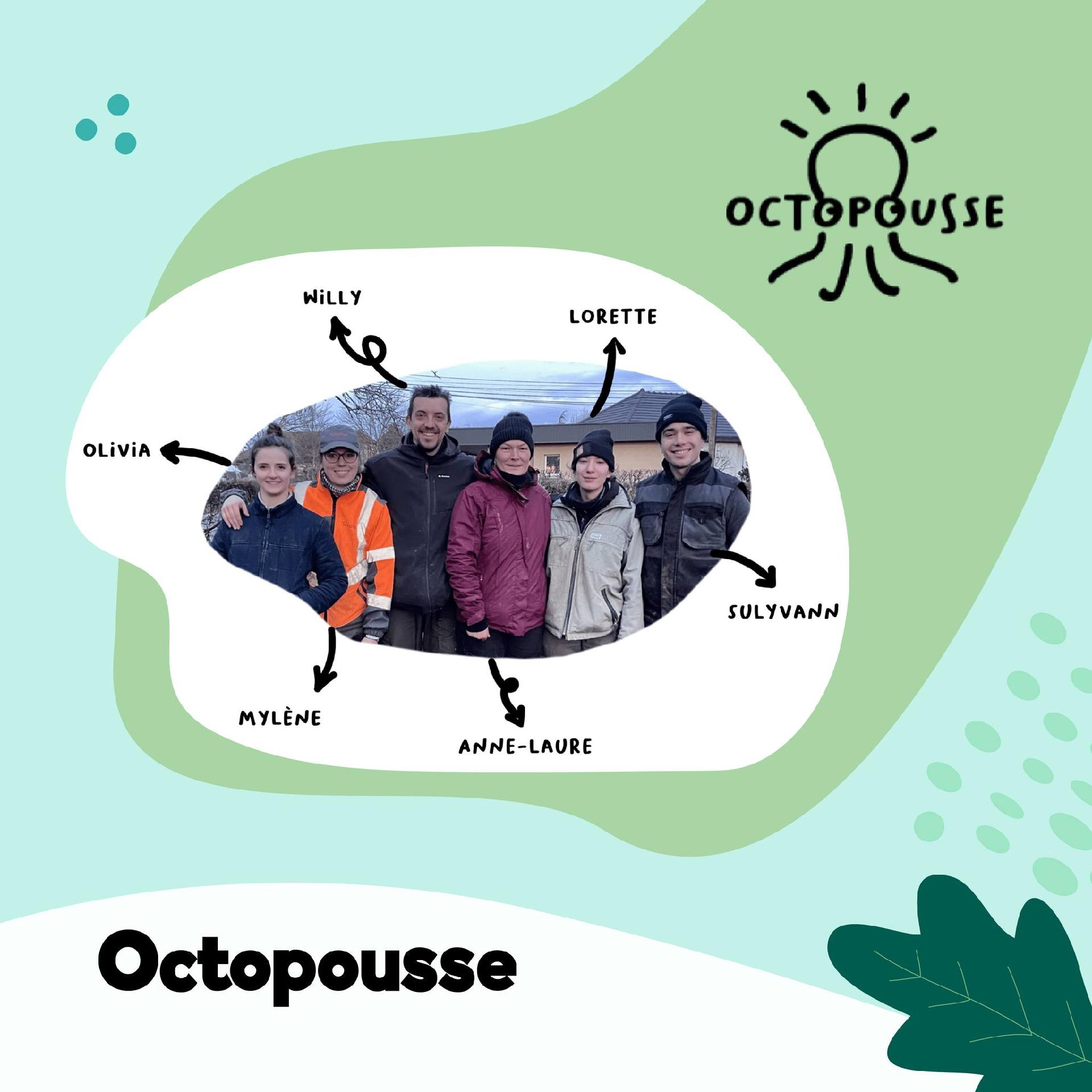 Octopousse