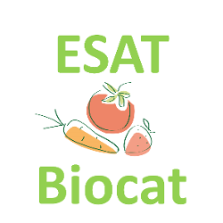 ESAT Biocat : du maraîchage et une chocolaterie pour l’insertion professionnelle