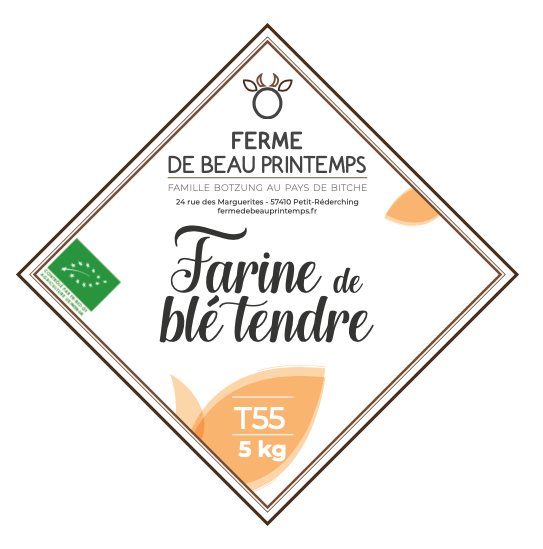 Farine T55 BIO