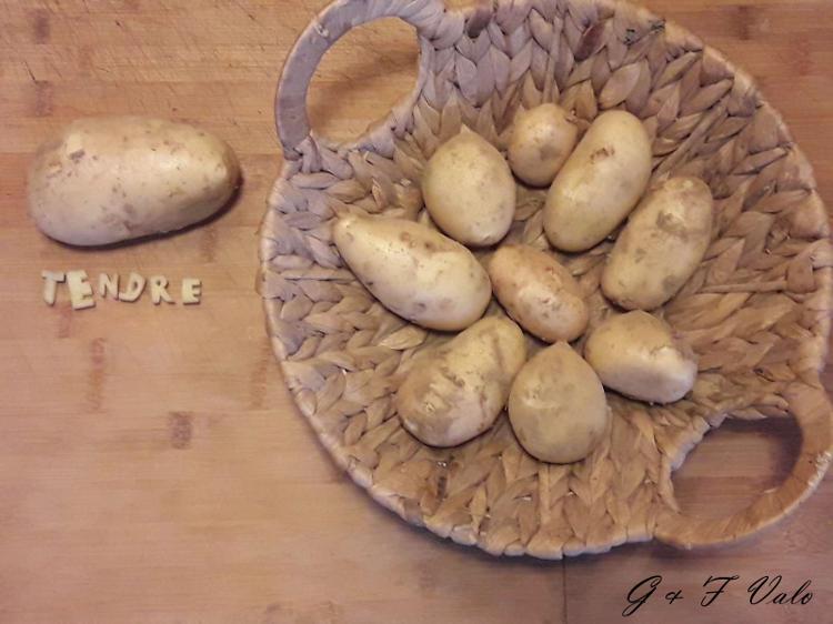 Pomme de terre de consommation Chair TENDRE  "MAIEWEN" (Non issue de notre production origine FRANCE.)