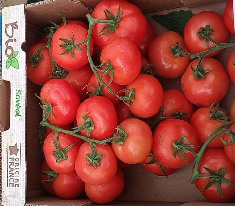 Tomate Ronde ou côtelée selon arrivage (Non issue de notre production). Origine FRANCE