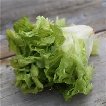 Salade Cornette lot de 5 petits coeurs