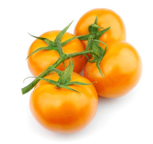 Tomate jaune  japonaise "momotaro"