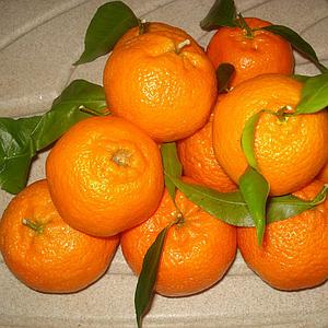 Mandarines Origine Sicile Cat. II  Cal 3/4